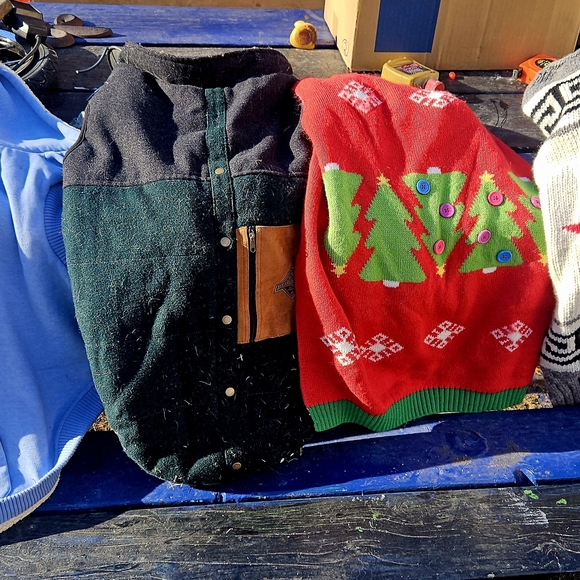 Assortment Of Large Breed Dog Coats And Pyjamas - Picture 13 of 15